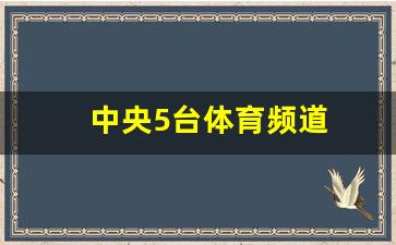 中央电视台五套节目，体育爱好者的首选