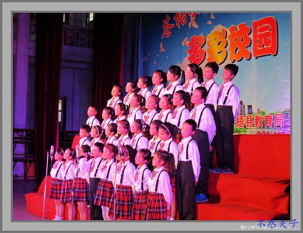 中央五节目预告，精彩纷呈的视听盛宴