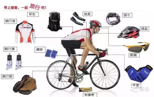 自行车手等级划分与特点解析
