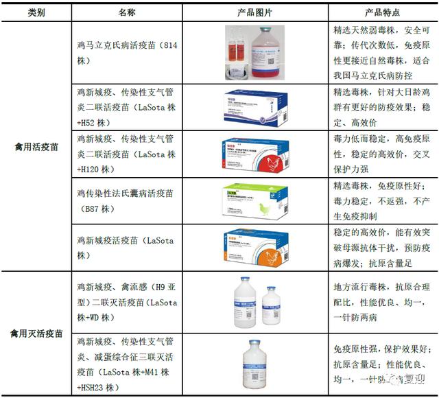 兽用抗菌疫苗种类及其应用
