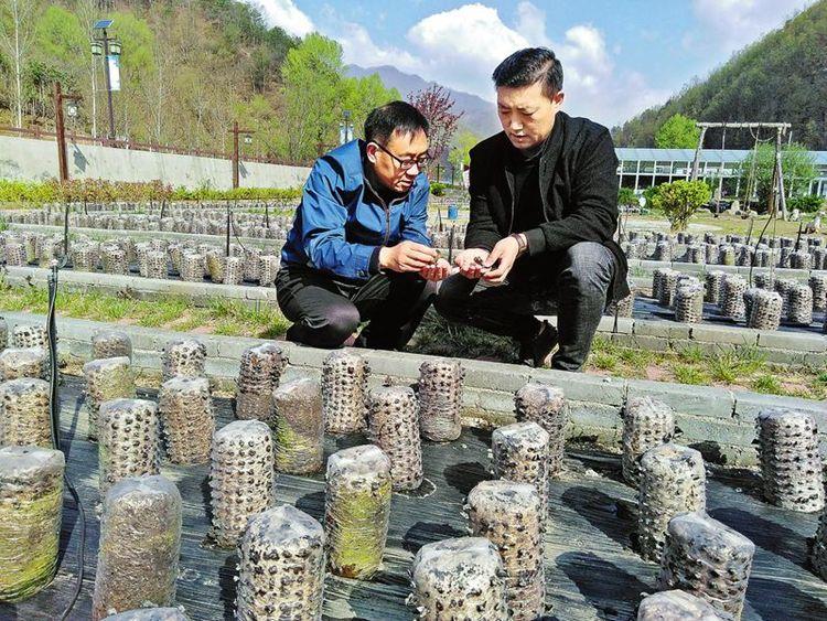 CCTV7农业节目，展现农村新貌，传承农业文化