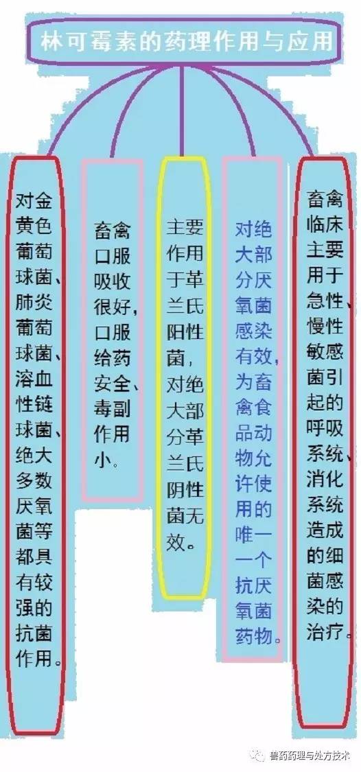 兽药种类划分及其重要性
