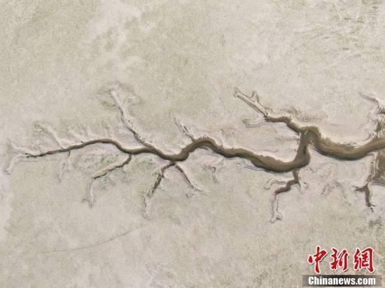 长江九江水位查询，了解水位信息的重要性与便捷途径