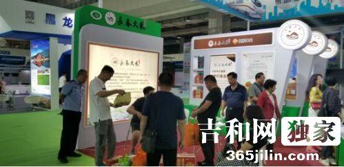 梅花鹿图案商标，传统与现代的完美结合