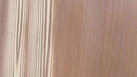 木纹青石板的独特魅力与艺术价值