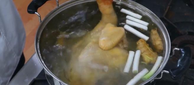 鸡的种类与鉴别——一种全面的探讨（不包括某种鸡）