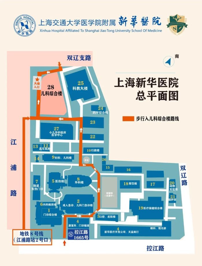 上海儿科专家门诊表，专业医疗资源的汇聚之地