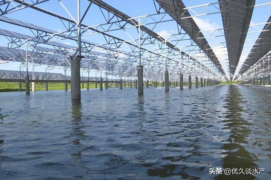 淡水养殖大棚，现代水产养殖的新篇章