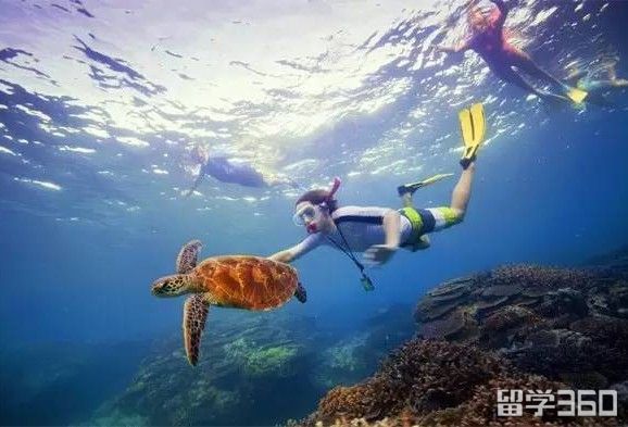 水产生物专业移民澳洲，探索海洋梦想的全新篇章