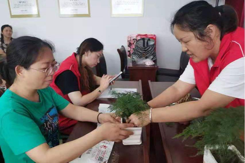 创投泰州，资本与创新的融合之地