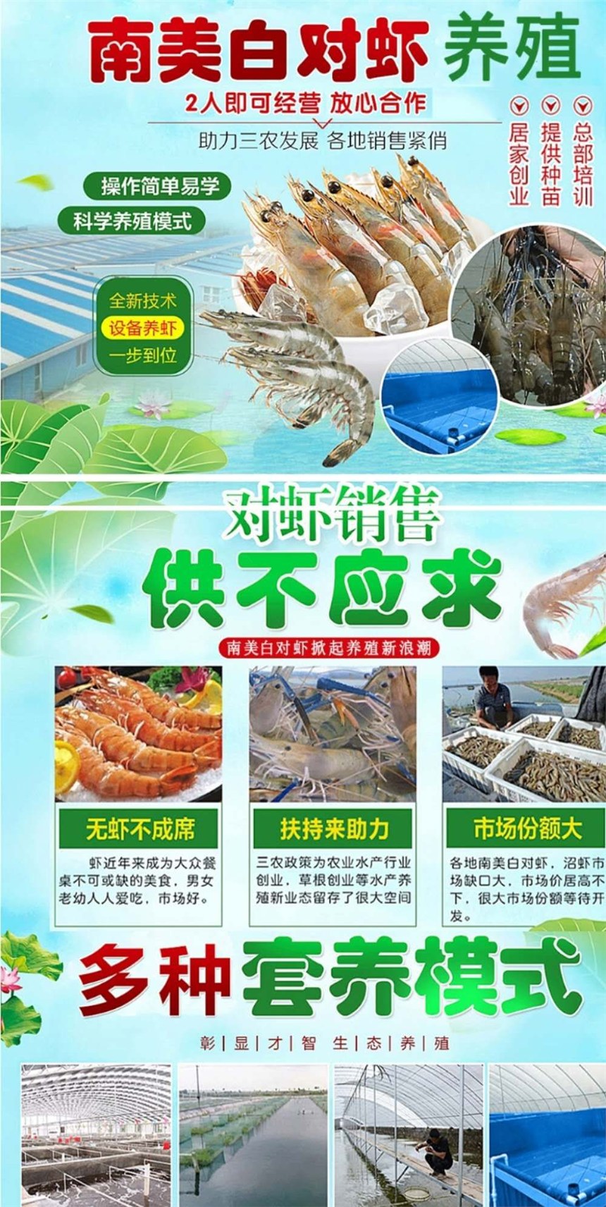南美白对虾大棚造价预算分析