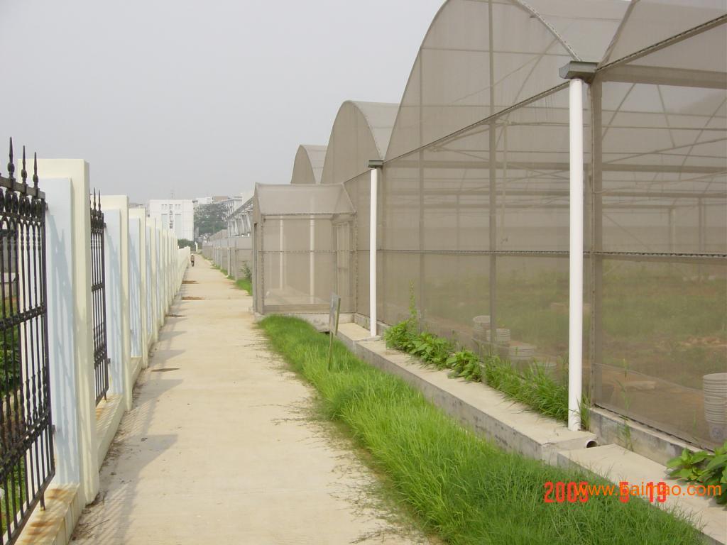 专业鱼池大棚建造，技术与实践