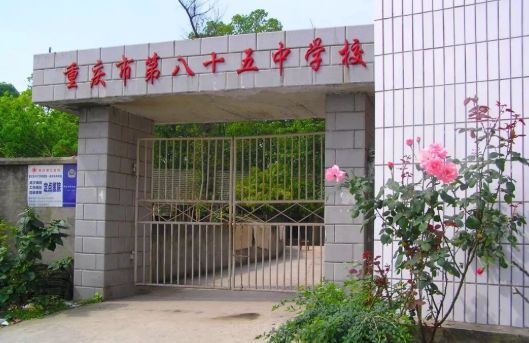 长江水运学院的辉煌历程与未来展望