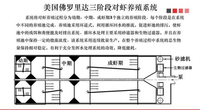 大棚养虾投资成本与效益分析