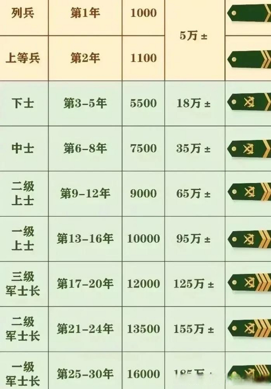 士官待遇高过军官，重新审视军队薪酬体系