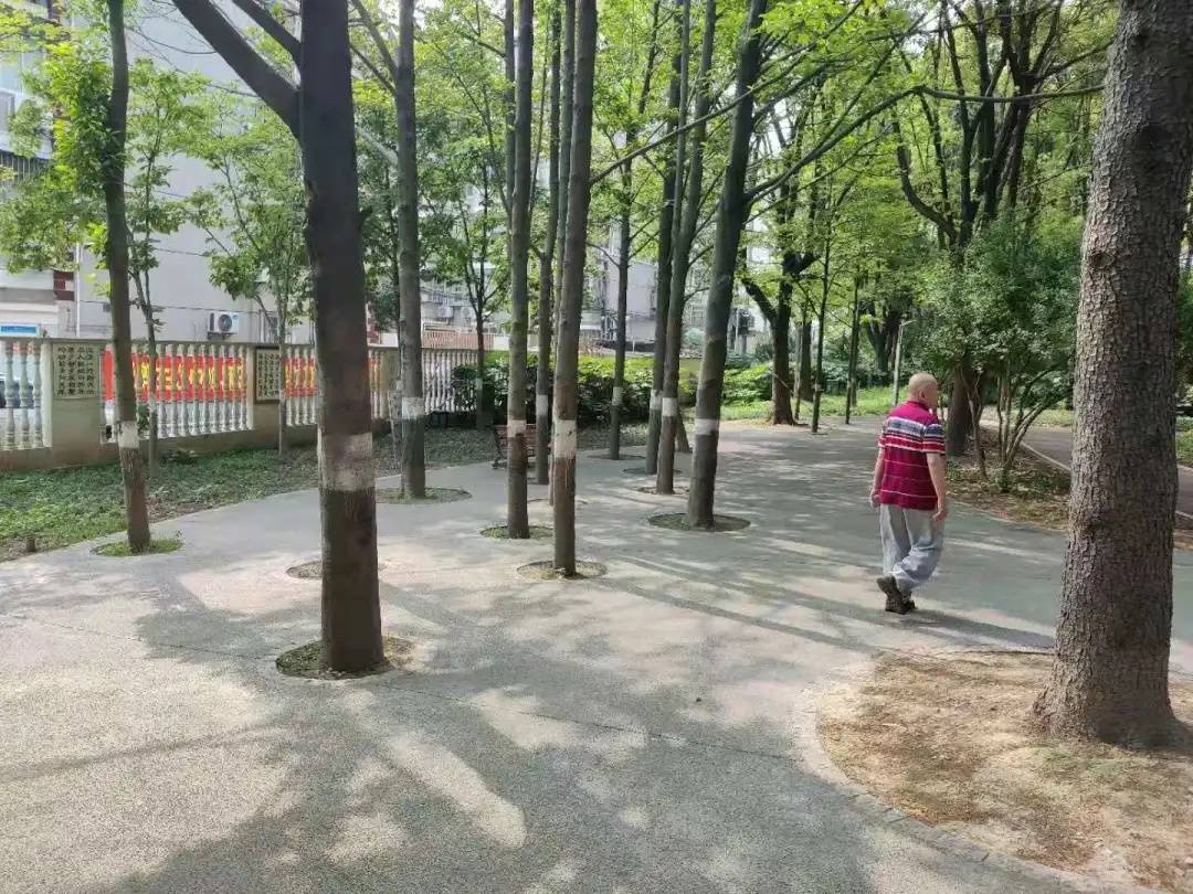 儿童神经科专家，守护孩童神经系统健康的守护者