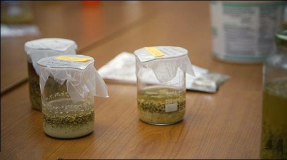 山楂饮料，美味与健康同在
