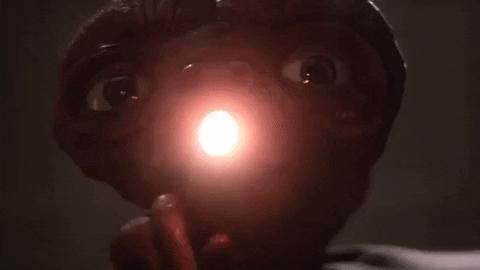 开局一人一狗，探索未知世界的独特旅程