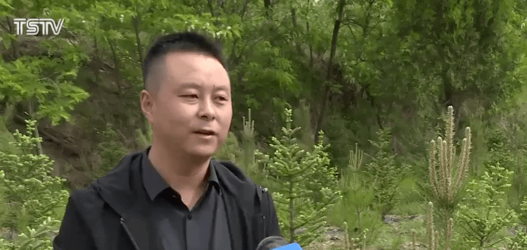 文明六，开局策略与探索