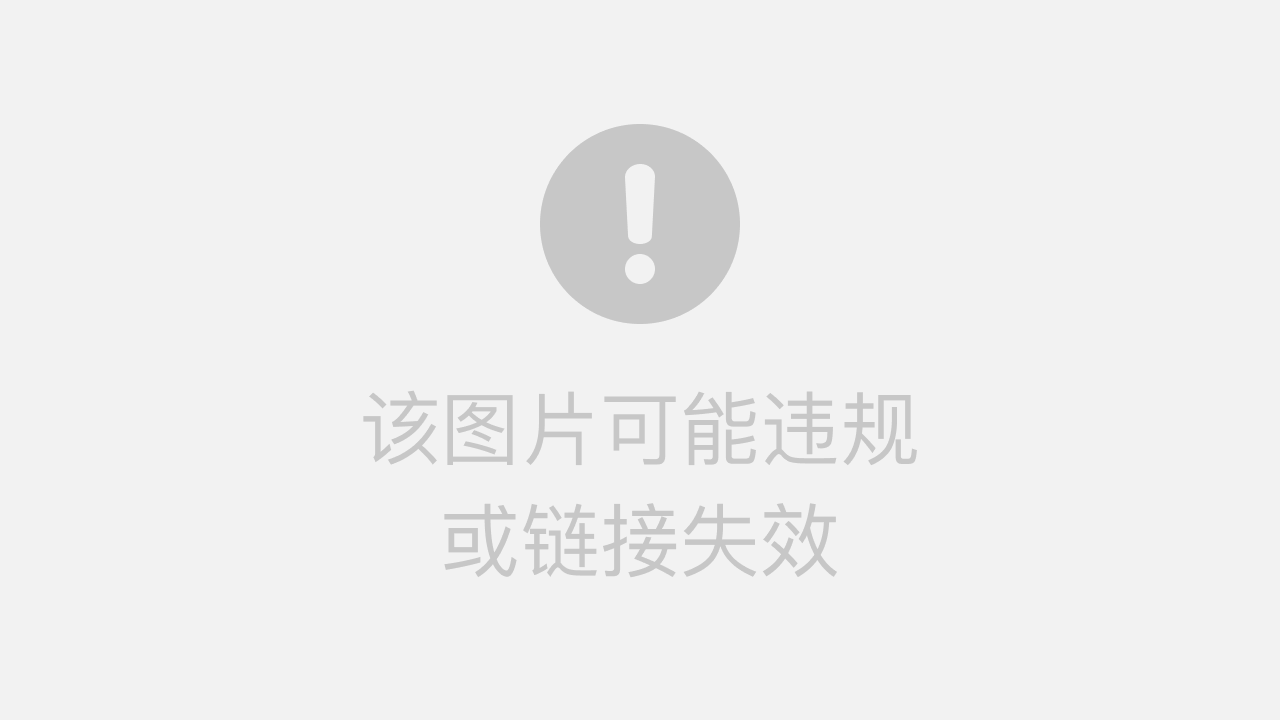 2025年5月17日 第8页