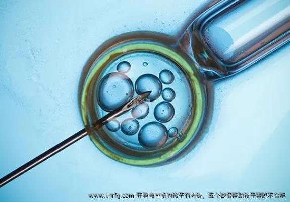 试管取卵过多的危害及其影响
