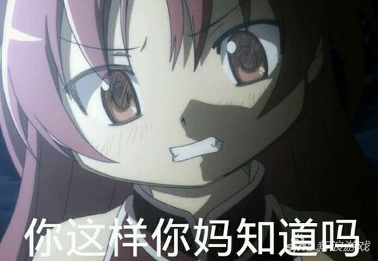 玛茵表情包，网络时代的萌宠新星