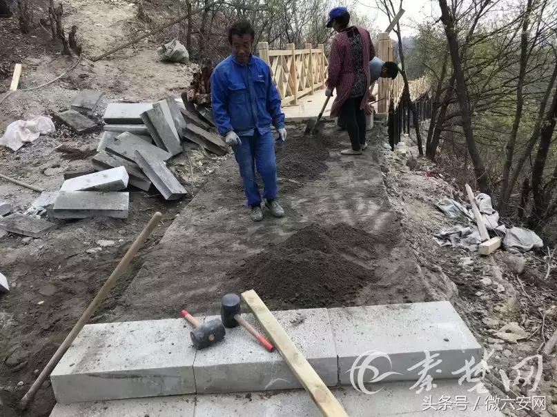 友谊健身，塑造健康与连结的纽带