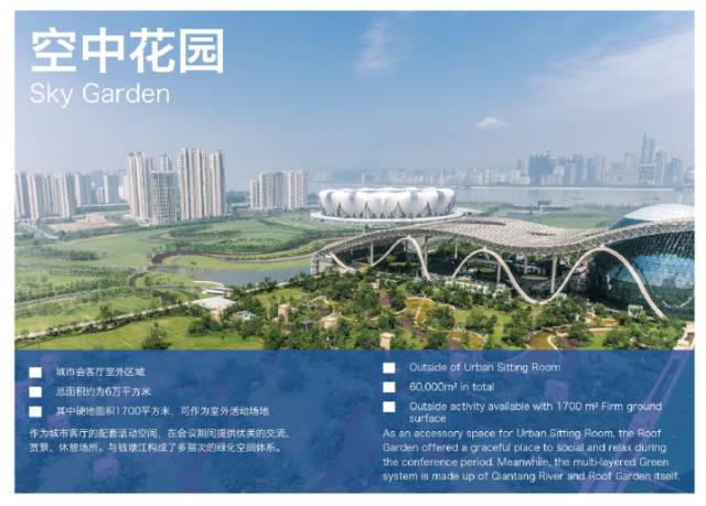 G20峰会与绿化新品种，共筑绿色未来