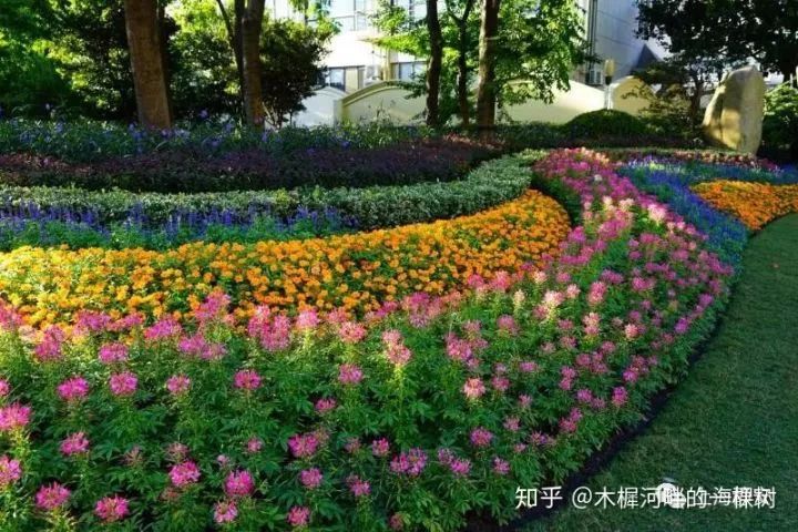 花镜品种繁多，各具特色