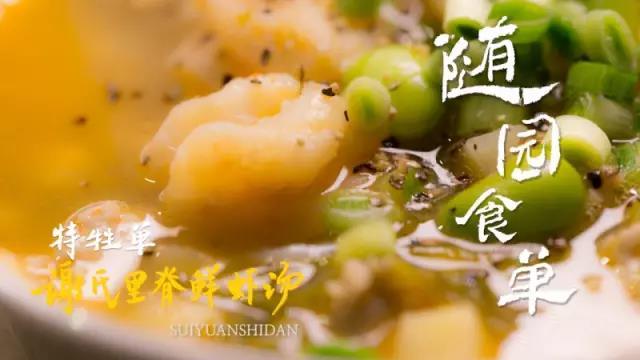 哪一本随园食单更好，深度解读与对比评析