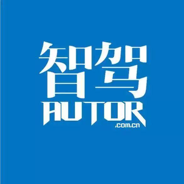 儿童美术作品中的斑马，创意与想象力的展现