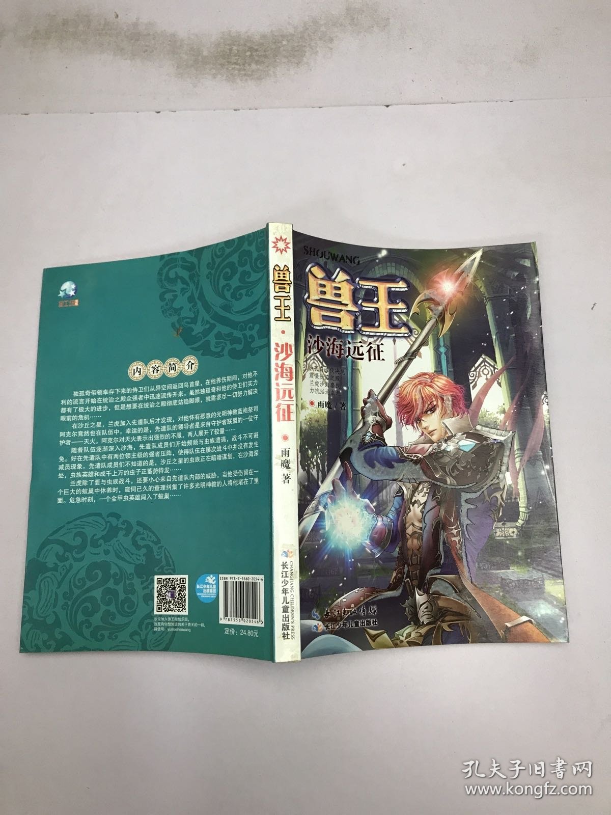 兽王沙海远征的下一本，未知的征途与冒险的延续