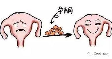 取卵后黄体支持与黄体同的重要性，深入了解与治疗策略