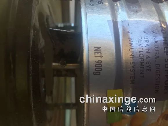 如何自制鸽子自动门